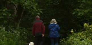 Jakie czynniki wpływają na wysokość emerytury?