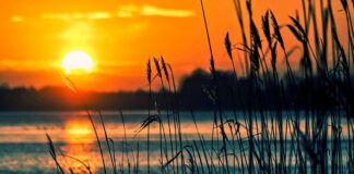 Jakie są instrumenty marketingu?