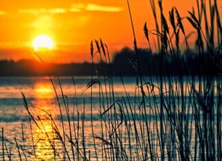 Jakie są instrumenty marketingu?