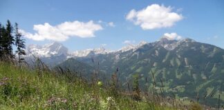 Kiedy będzie hossa na krypto?