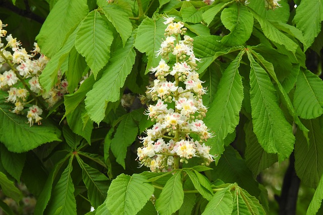 Ile trzeba mieć procent z matury żeby dostać się na studia? Ile trzeba mieć procent z matury żeby dostać się na studia?