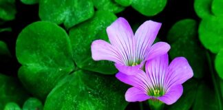 Co zrobić aby przyciągnąć klienta?