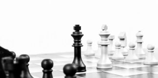 Na czym polega koncepcja 7P?