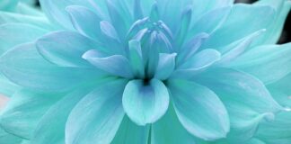 Jak określić nasycenie rynku?