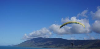 Na czym polega skuteczność reklamy?