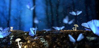 Co wpływa na strukturę kapitału?