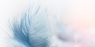 Jakie są platformy do e nauczania?