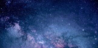 Jakie są rodzaje badań marketingowych?