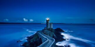 Jakie są elementy rynku?