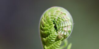 Jak rozwijać markę?