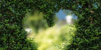 Jak zdobyć jego serce?