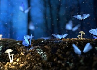 Jaka powinna być struktura i koszt finansowania inwestycji?