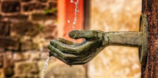 Jakie są funkcje rynku?