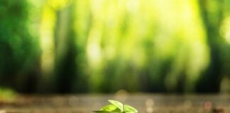 Czy kapitał własny to to samo co podstawowy?