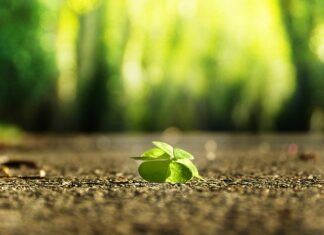 Czy kapitał własny to to samo co podstawowy? Czy kapitał własny to to samo co podstawowy?