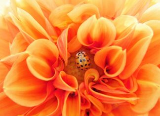 Jak stać się efektywnym? Jak stać się efektywnym?