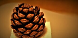 Jak działają gradientowe metody uczenia sieci neuronowych?