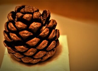 Jak działają gradientowe metody uczenia sieci neuronowych? Jak działają gradientowe metody uczenia sieci neuronowych?