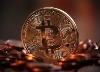 Która Kryptowaluta ma potencjał?