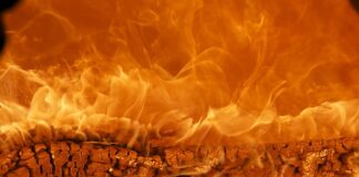 Jak budować markę w internecie?