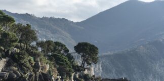 Ile kosztuje przygotowanie ankiety?