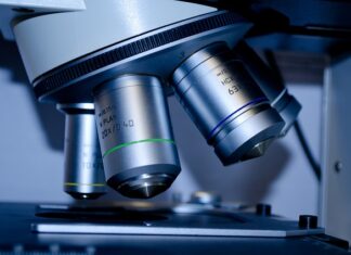 Co opłaca się studiować?