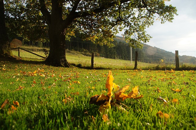 Kto pisze ocenę efektywności? Kto pisze ocenę efektywności?