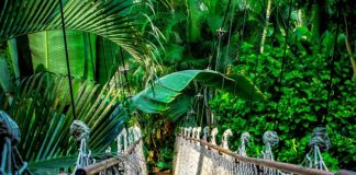 Co dają kursy online?