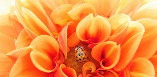 Kiedy zespół jest efektywny?