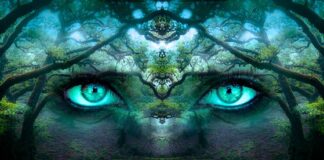 Jak budować świadomość marki?