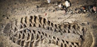 Co jest ważnym elementem oceny biznesowej?