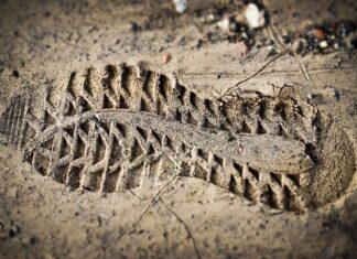 Co jest ważnym elementem oceny biznesowej?