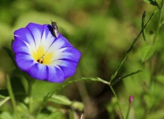Ile jest wskaźników finansowych?