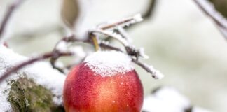 Jak wprowadzać dane z ankiet do Excela?