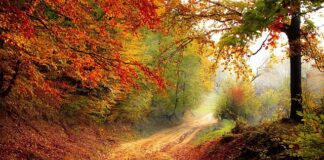 Z czego wynika spadek rentowności?