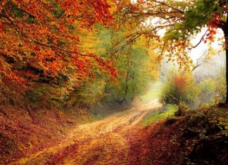 Z czego wynika spadek rentowności? Z czego wynika spadek rentowności?