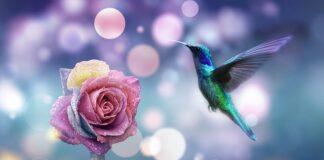 Jak skalowanie w AutoCAD bez zmiany wymiarów? Jak skalowanie w AutoCAD bez zmiany wymiarów?