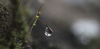 Na czym polega strategią selektywna?