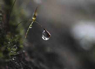 Na czym polega strategią selektywna? Na czym polega strategią selektywna?