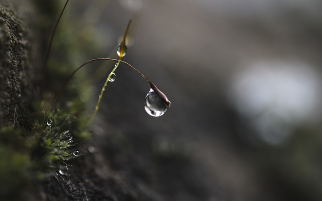 Na czym polega strategią selektywna? Na czym polega strategią selektywna?