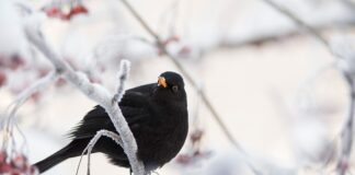 Na czym polega działanie funduszy inwestycyjnych?