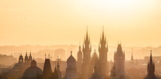 Jak się pisze celi czy celów?