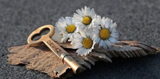 Gdzie najlepiej otworzyć firmę?