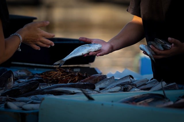 Jak sprzedawać szybciej? Jak sprzedawać szybciej?