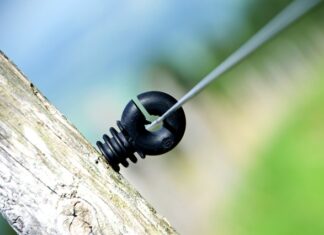 Ile Polaków korzysta z Tiktoka? Ile Polaków korzysta z Tiktoka?