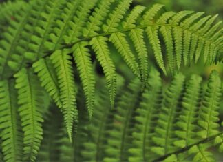 Jak wdrożyć strategie? Jak wdrożyć strategie?