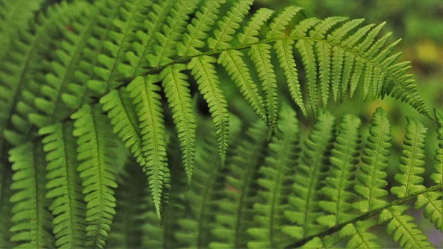 Jak wdrożyć strategie? Jak wdrożyć strategie?