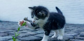 Dlaczego w Polsce są takie drogie kredyty?