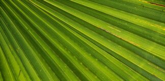 Czy spełnianie marzeń może prowadzić do szczęścia?