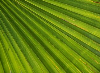 Czy spełnianie marzeń może prowadzić do szczęścia? Czy spełnianie marzeń może prowadzić do szczęścia?